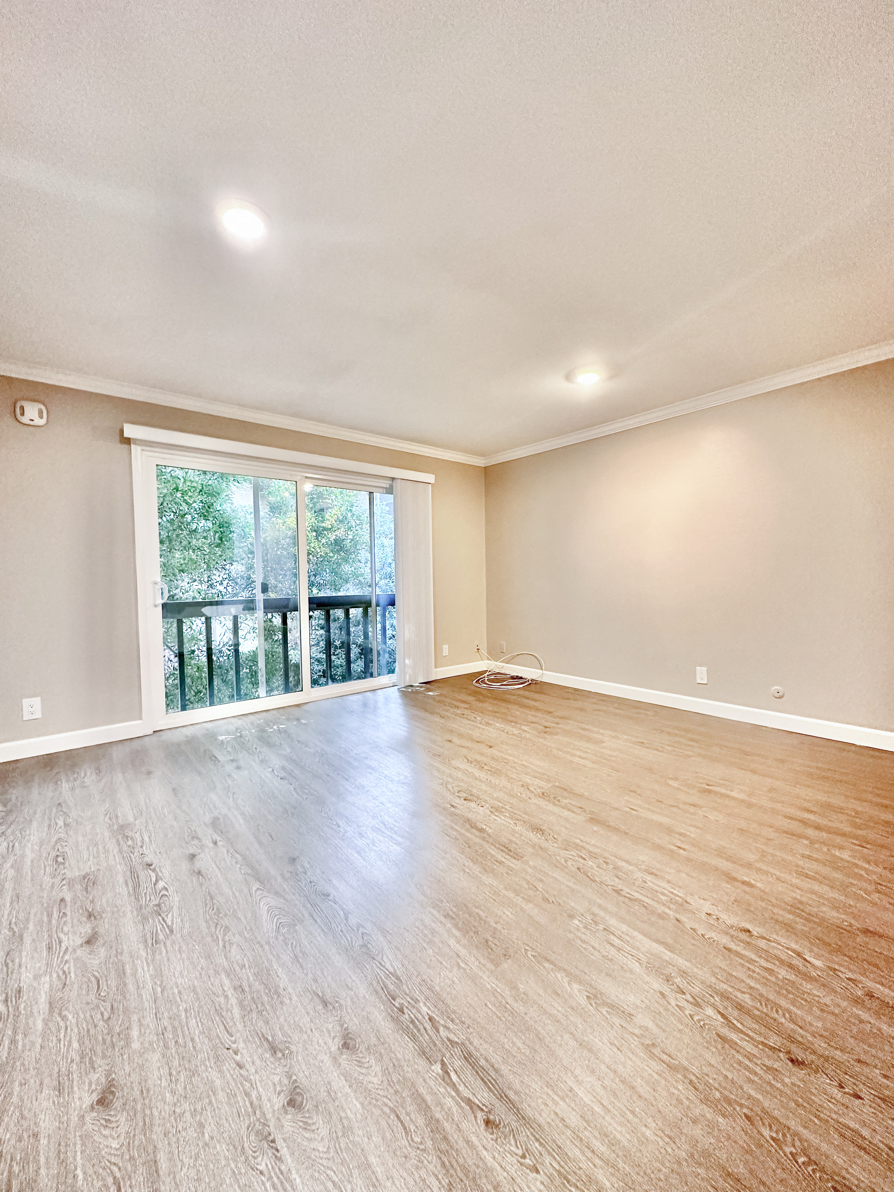 Douglas Avenue Apartments photo 2